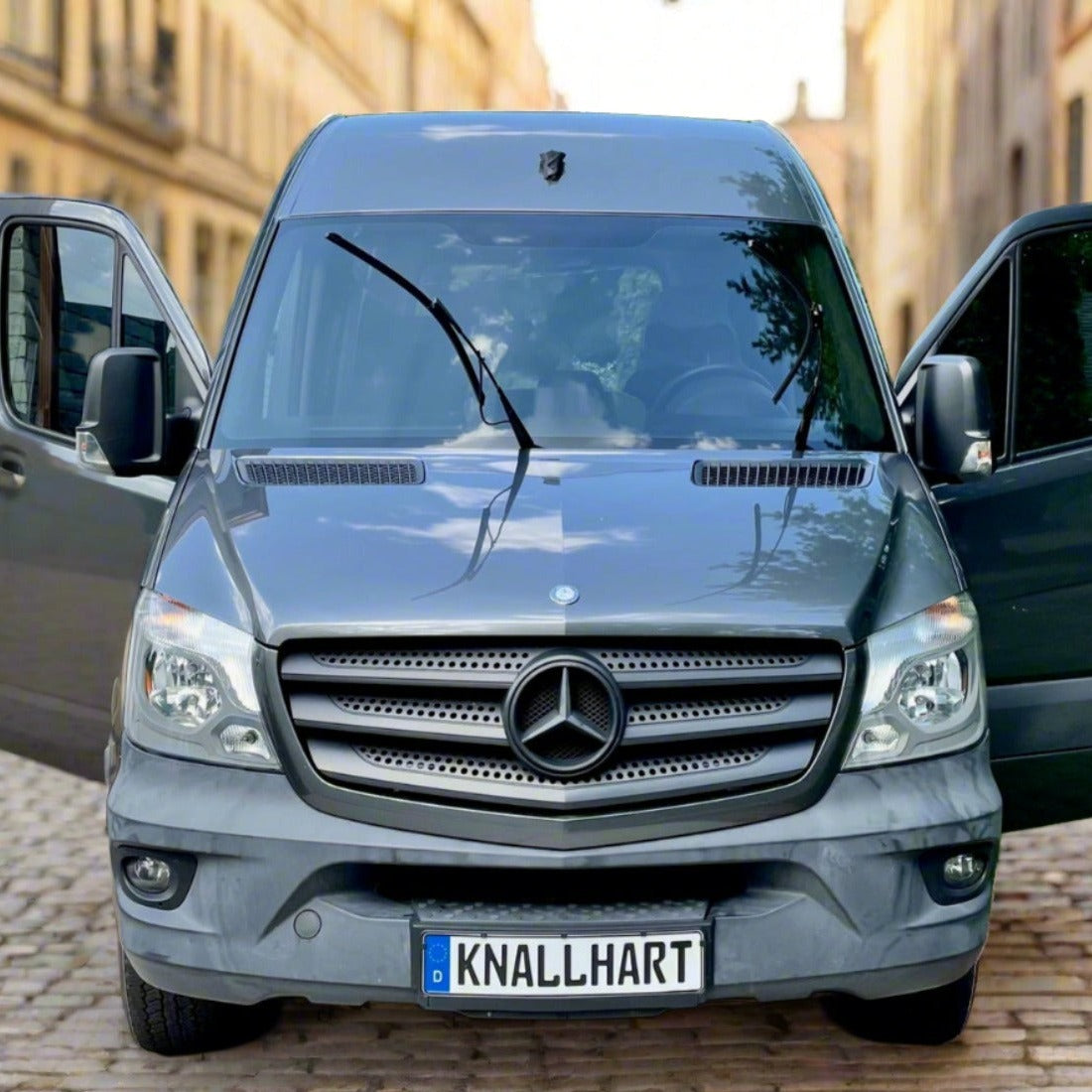 German License Plate on Sprinter Van